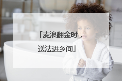 麦浪翻金时，送法进乡间