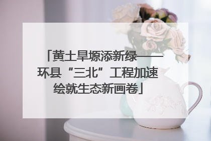 黄土旱塬添新绿——环县“三北”工程加速绘就生态新画卷