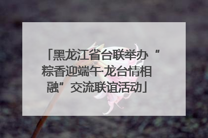 黑龙江省台联举办“粽香迎端午·龙台情相融”交流联谊活动