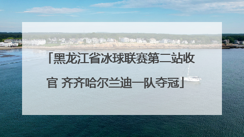 黑龙江省冰球联赛第二站收官 齐齐哈尔兰迪一队夺冠