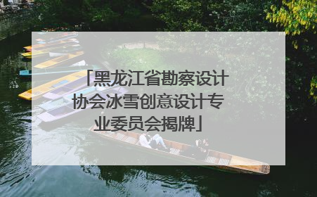 黑龙江省勘察设计协会冰雪创意设计专业委员会揭牌