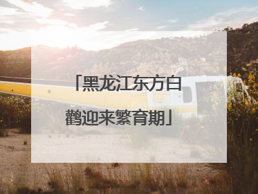 黑龙江东方白鹳迎来繁育期