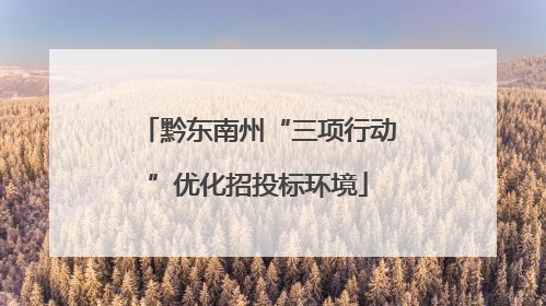 黔东南州“三项行动”优化招投标环境