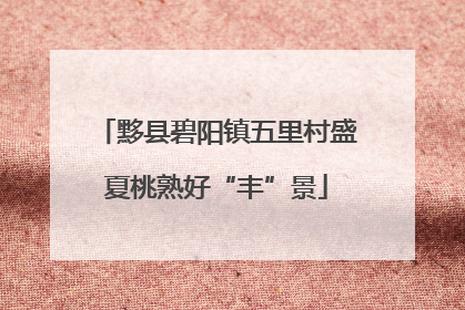 黟县碧阳镇五里村盛夏桃熟好“丰”景