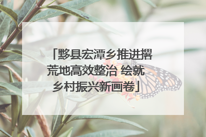 黟县宏潭乡推进撂荒地高效整治 绘就乡村振兴新画卷