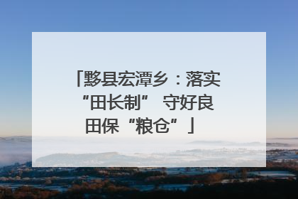 黟县宏潭乡：落实“田长制” 守好良田保“粮仓”