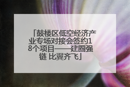 鼓楼区低空经济产业专场对接会签约18个项目——建圈强链 比翼齐飞