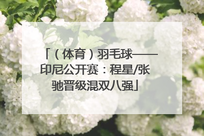 （体育）羽毛球——印尼公开赛：程星/张驰晋级混双八强