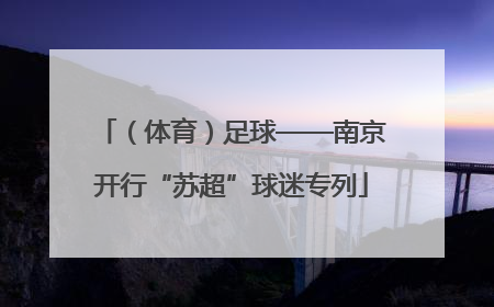 （体育）足球——南京开行“苏超”球迷专列