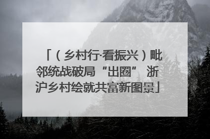 （乡村行·看振兴）毗邻统战破局“出圈” 浙沪乡村绘就共富新图景