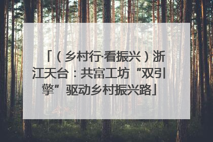 （乡村行·看振兴）浙江天台：共富工坊“双引擎”驱动乡村振兴路