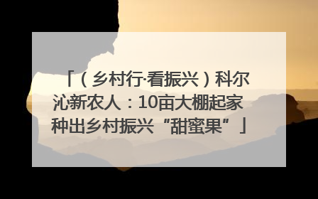 （乡村行·看振兴）科尔沁新农人：10亩大棚起家种出乡村振兴“甜蜜果”