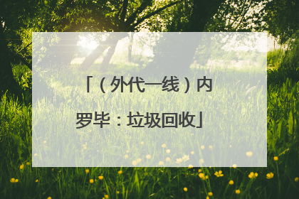 （外代一线）内罗毕：垃圾回收