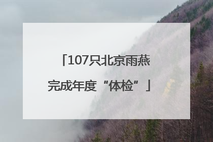 107只北京雨燕完成年度“体检”