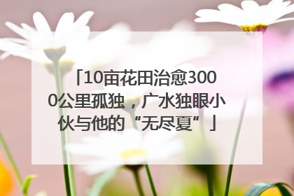 10亩花田治愈3000公里孤独，广水独眼小伙与他的“无尽夏”