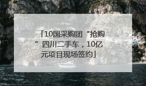 10国采购团“抢购”四川二手车，10亿元项目现场签约