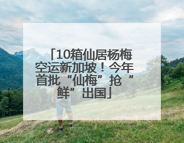 10箱仙居杨梅空运新加坡！今年首批“仙梅”抢“鲜”出国