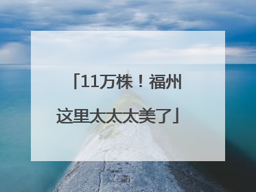 11万株！福州这里太太太美了
