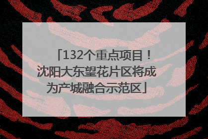 132个重点项目！沈阳大东望花片区将成为产城融合示范区