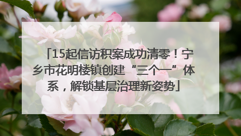 15起信访积案成功清零！宁乡市花明楼镇创建“三个一”体系，解锁基层治理新姿势
