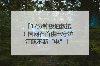 17分钟极速救援！国网石首供电守护江豚不断“电”