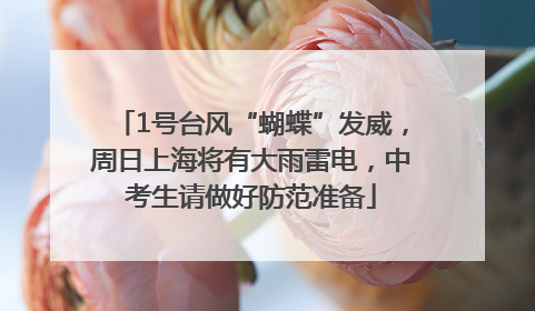 1号台风“蝴蝶”发威，周日上海将有大雨雷电，中考生请做好防范准备