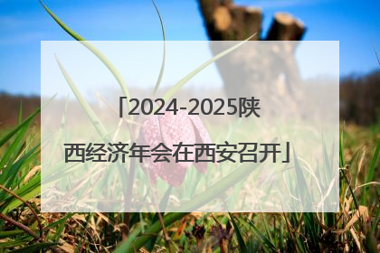 2024-2025陕西经济年会在西安召开