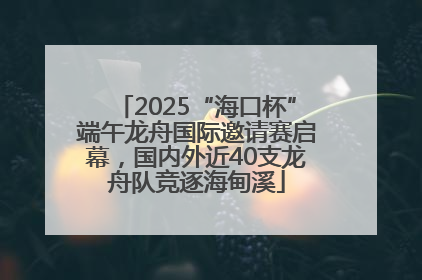 2025“海口杯”端午龙舟国际邀请赛启幕，国内外近40支龙舟队竞逐海甸溪