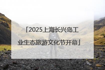 2025上海长兴岛工业生态旅游文化节开幕