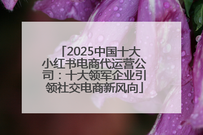 2025中国十大小红书电商代运营公司：十大领军企业引领社交电商新风向