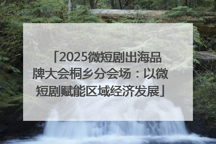 2025微短剧出海品牌大会桐乡分会场：以微短剧赋能区域经济发展