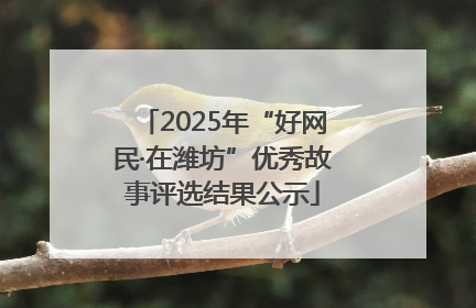 2025年“好网民·在潍坊”优秀故事评选结果公示