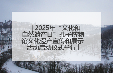 2025年“文化和自然遗产日”孔子博物馆文化遗产宣传和展示活动启动仪式举行