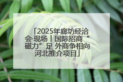 2025年廊坊经洽会·现场丨国际招商“磁力”足 外商争相向河北推介项目