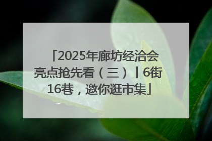 2025年廊坊经洽会亮点抢先看（三）丨6街16巷，邀你逛市集