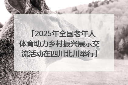 2025年全国老年人体育助力乡村振兴展示交流活动在四川北川举行