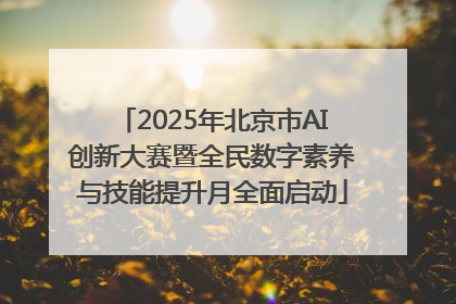 2025年北京市AI创新大赛暨全民数字素养与技能提升月全面启动