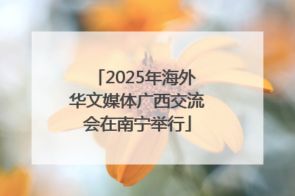 2025年海外华文媒体广西交流会在南宁举行