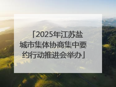 2025年江苏盐城市集体协商集中要约行动推进会举办