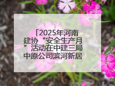 2025年河南建协“安全生产月”活动在中建三局中原公司滨河新居项目启动