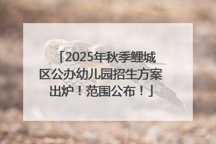 2025年秋季鲤城区公办幼儿园招生方案出炉！范围公布！