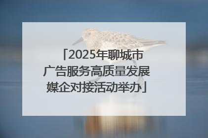 2025年聊城市广告服务高质量发展媒企对接活动举办