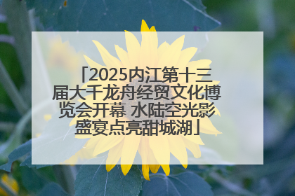 2025内江第十三届大千龙舟经贸文化博览会开幕 水陆空光影盛宴点亮甜城湖