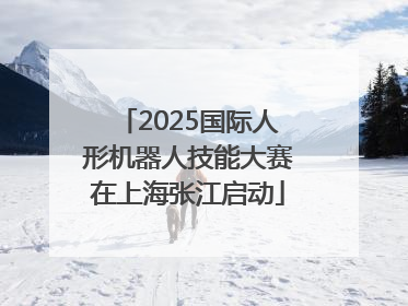 2025国际人形机器人技能大赛在上海张江启动