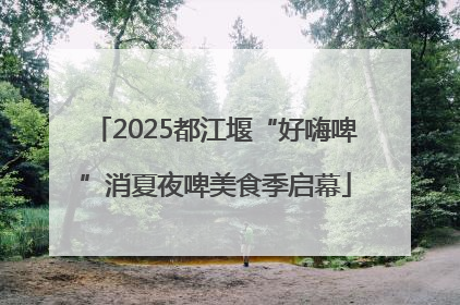 2025都江堰“好嗨啤”消夏夜啤美食季启幕