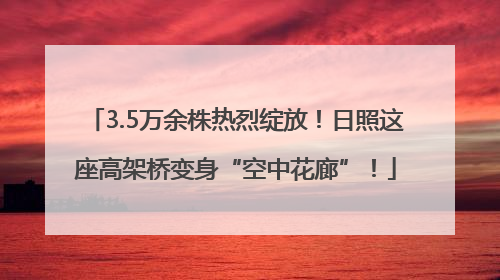 3.5万余株热烈绽放！日照这座高架桥变身“空中花廊”！