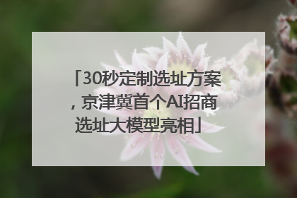 30秒定制选址方案，京津冀首个AI招商选址大模型亮相