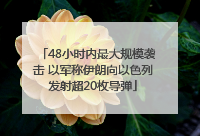 48小时内最大规模袭击 以军称伊朗向以色列发射超20枚导弹