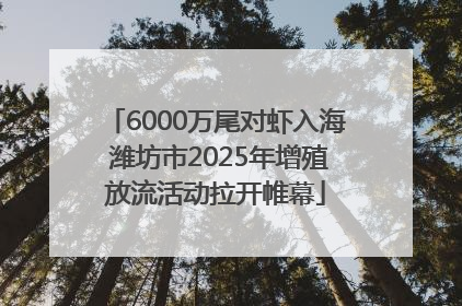 6000万尾对虾入海 潍坊市2025年增殖放流活动拉开帷幕