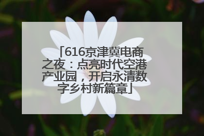 616京津冀电商之夜：点亮时代空港产业园，开启永清数字乡村新篇章